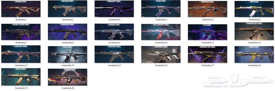 Valorant account level 60064467256771074110