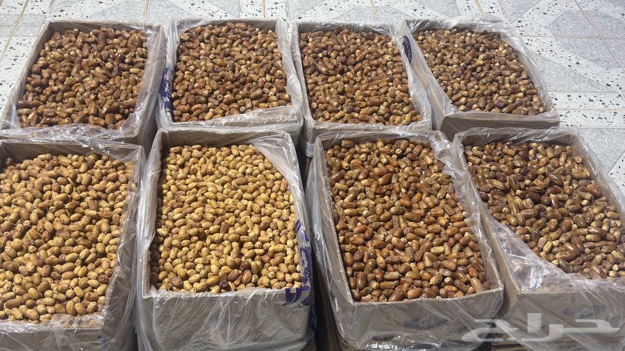 Mawakil Dates64470842211203113