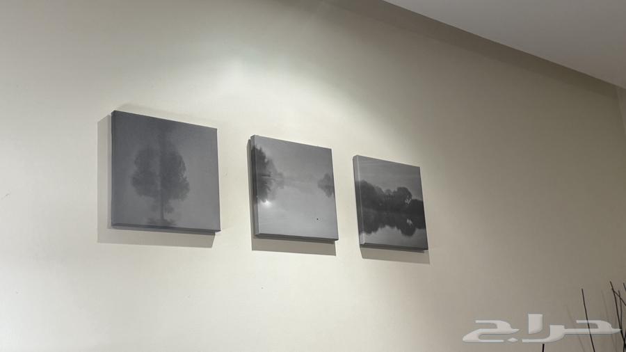 للبيع طقم 3 لوحات كانفس مودرن   60 ريال فقط64470292341505110
