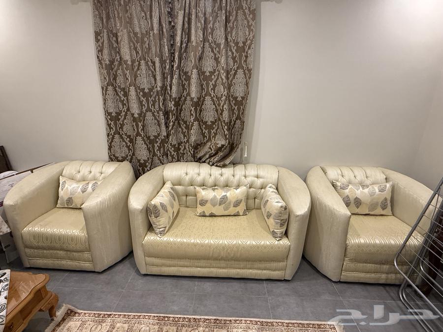 Clean 11-person sofa, 400 SAR64464702682498113