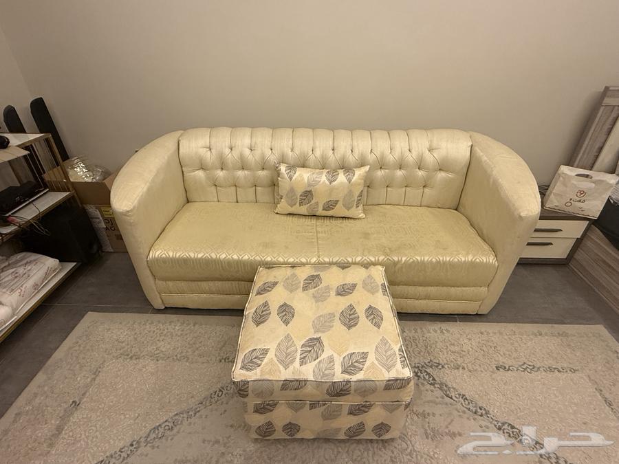 Clean 11-person sofa, 400 SAR64464702682498112