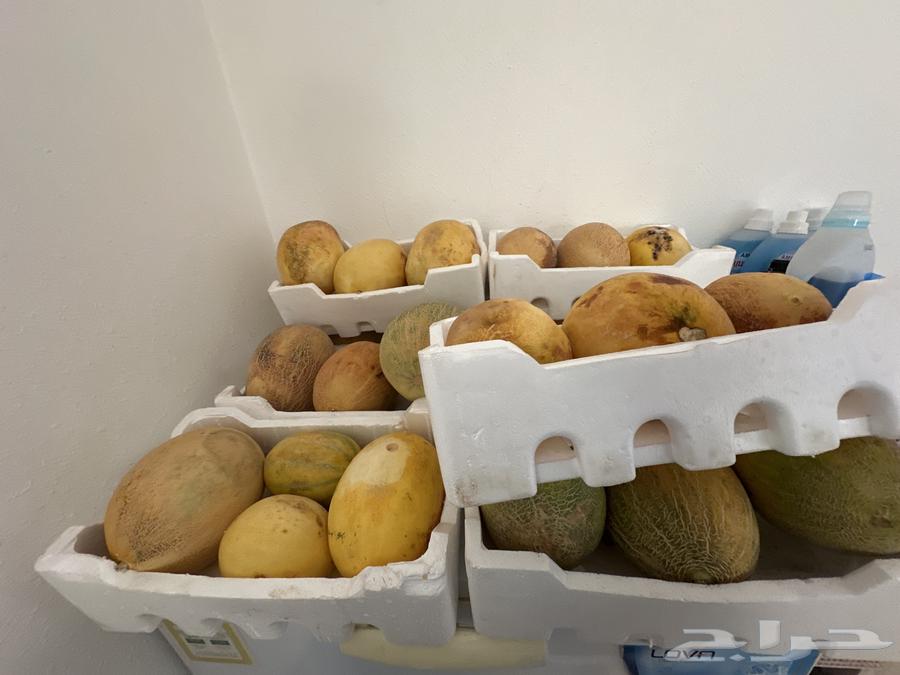 Red honeydew melon sugar for sale64468846113665110