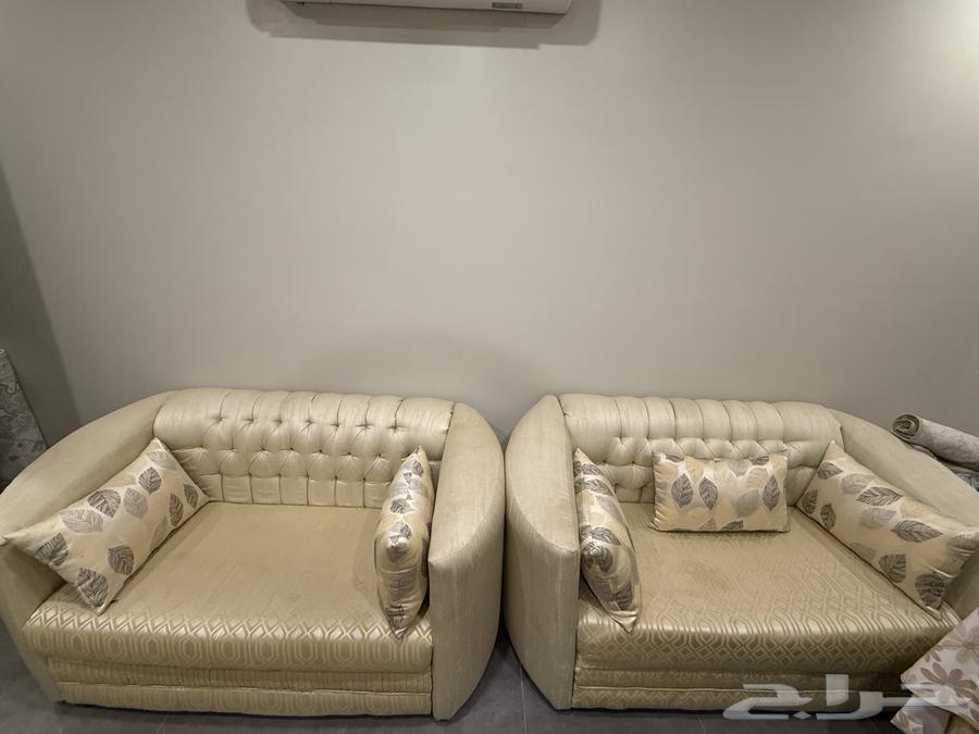 Clean 11-person sofa, 400 SAR64464702682498111