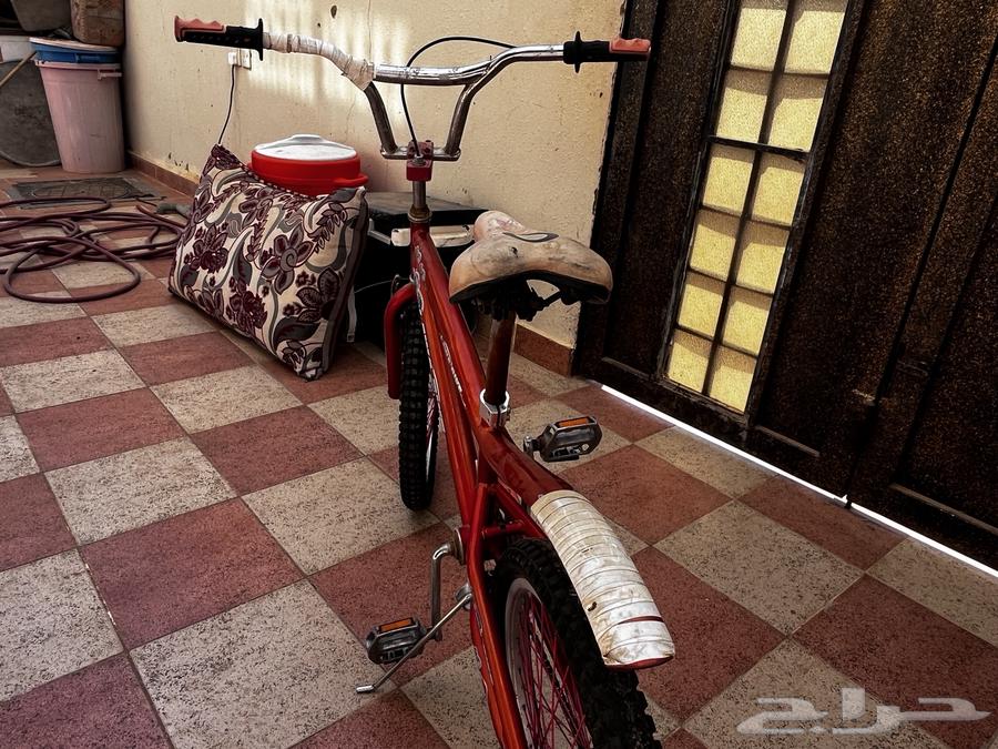 Cyclone Cobra64467466810243112