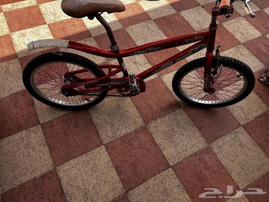 Cyclone Cobra64467466810243113