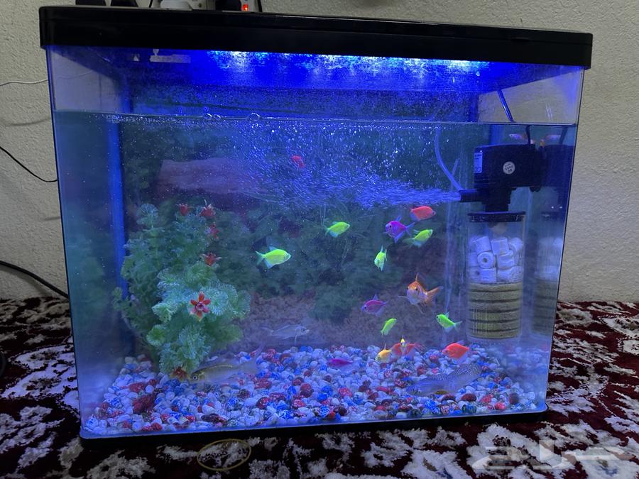 حوض أسماك للبيع64466905303683110