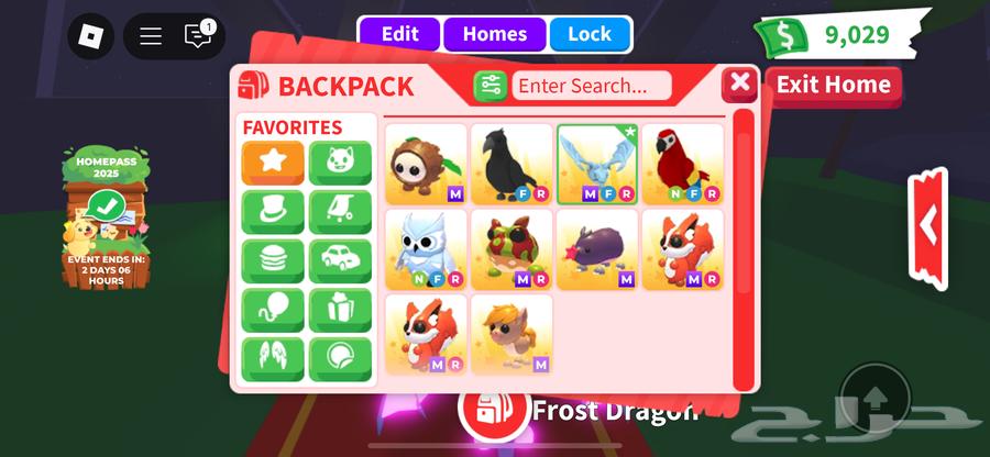 حيوانات ادوبت مي للبيع64466739656450110