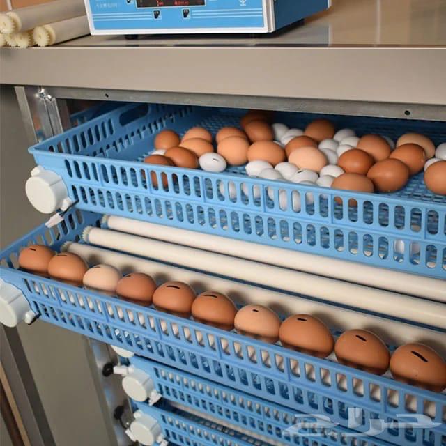 Advanced Red Twilight Incubator with Cooling System64469236868610113