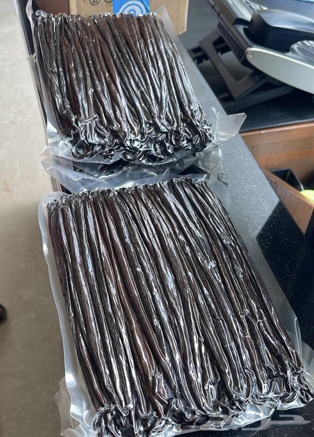 للبيع - اعواد فانيلا اندونيسية Grade Gourment فاخرة (20 سم)64466516460290110