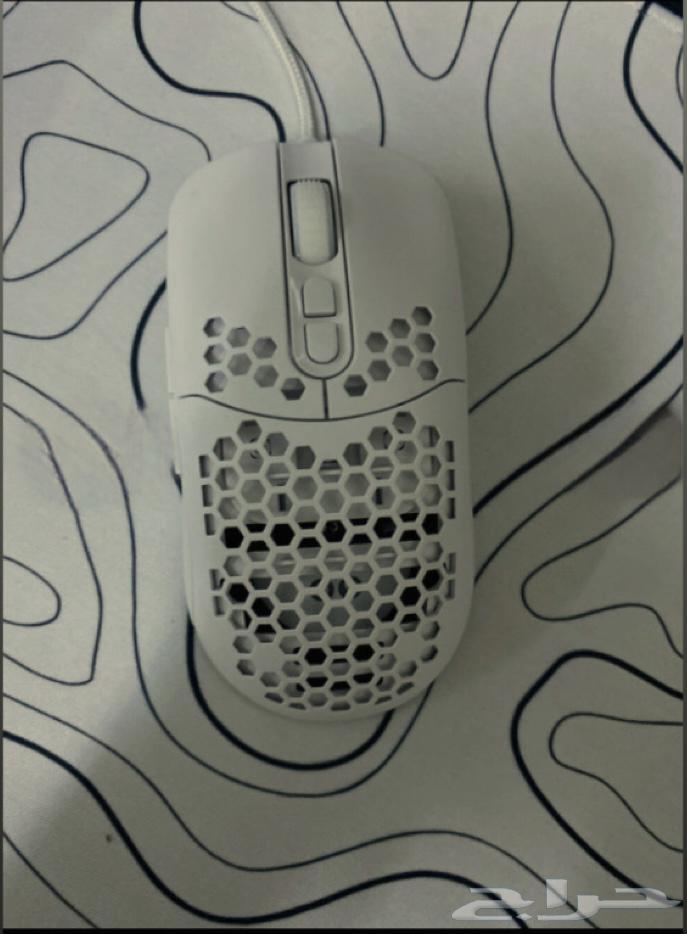 Kas Qiminq Fast Response64466808716417111