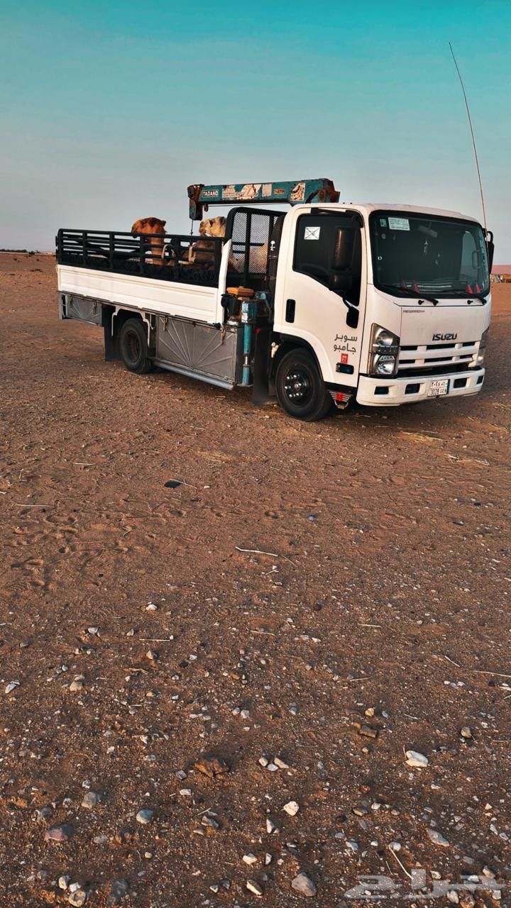 دنه هدروليك ونش مزاد المدرج64465857230081110