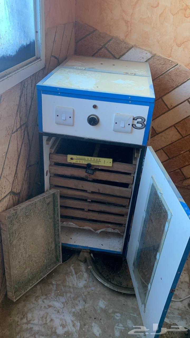 Incubator used for less than a month64470456993921110