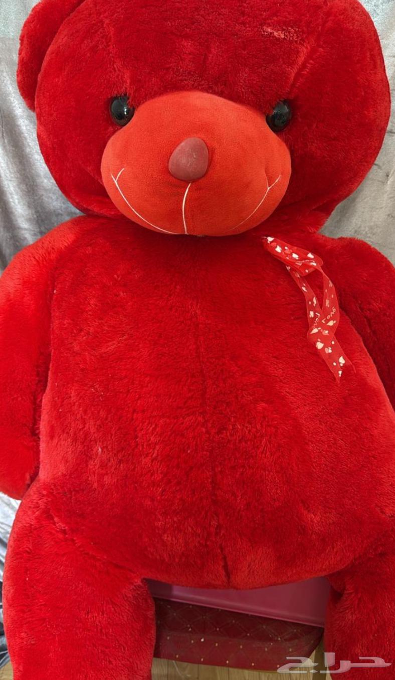 The comet -Al-Ammar-Salhiya village64468754144899110