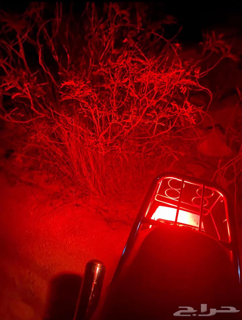 دباب64638558433794112