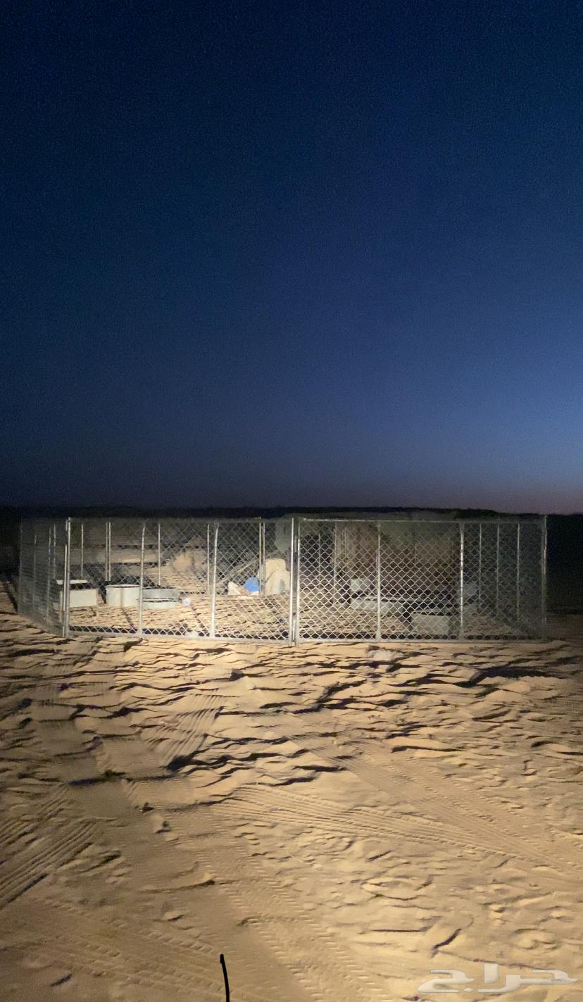 For sale, a network64470251072769110