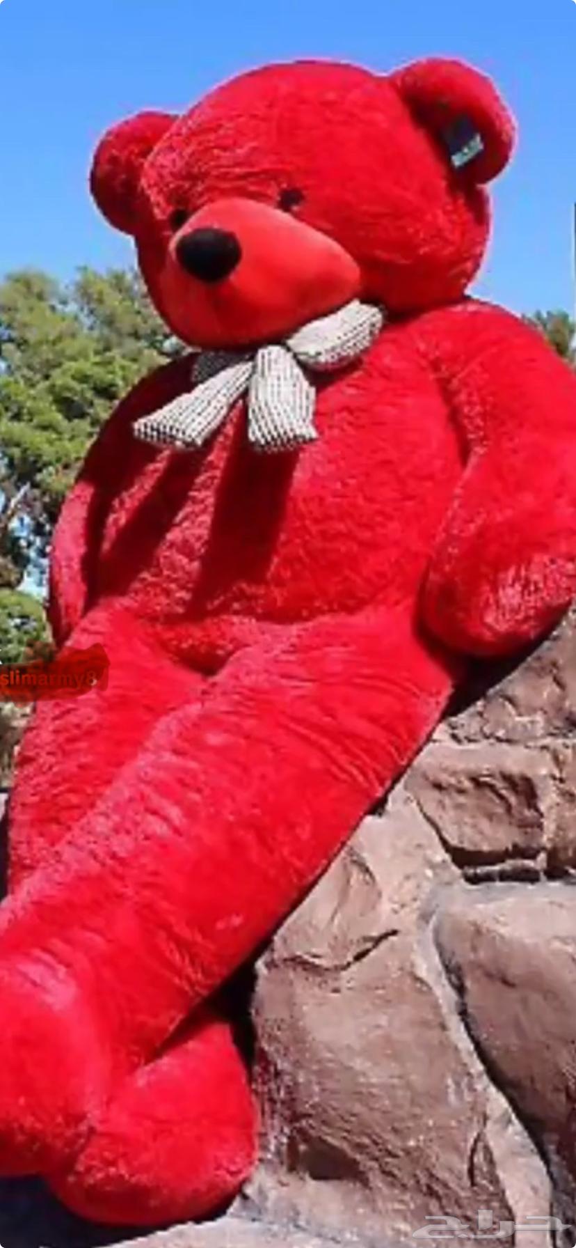 دبدوب64468440037761110