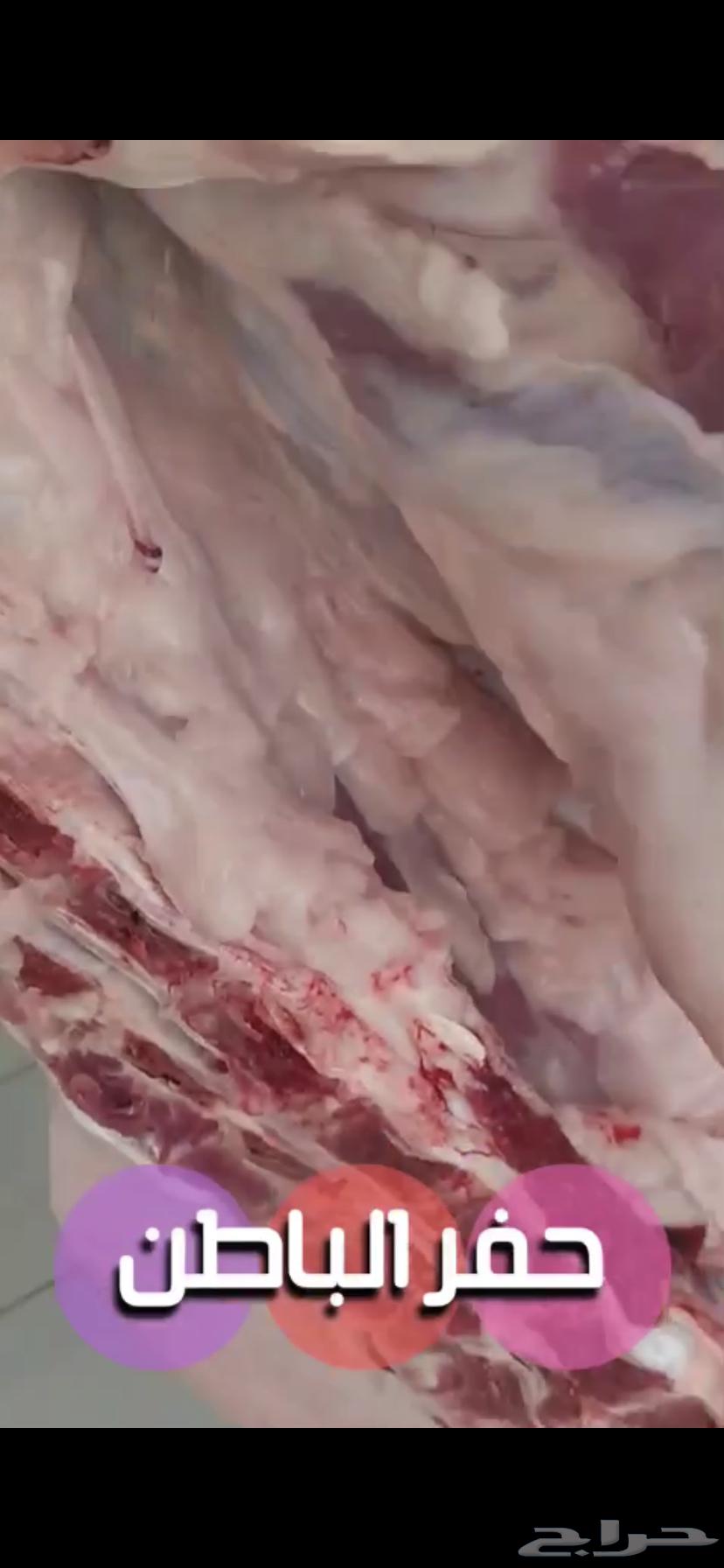 حوار لباني وبري. موجود بالملحمة64466432323715113