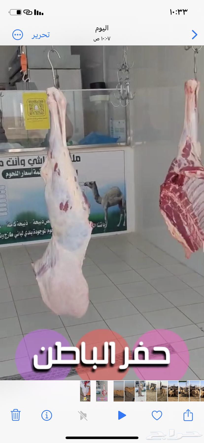 حوار لباني وبري. موجود بالملحمة64466432323715112