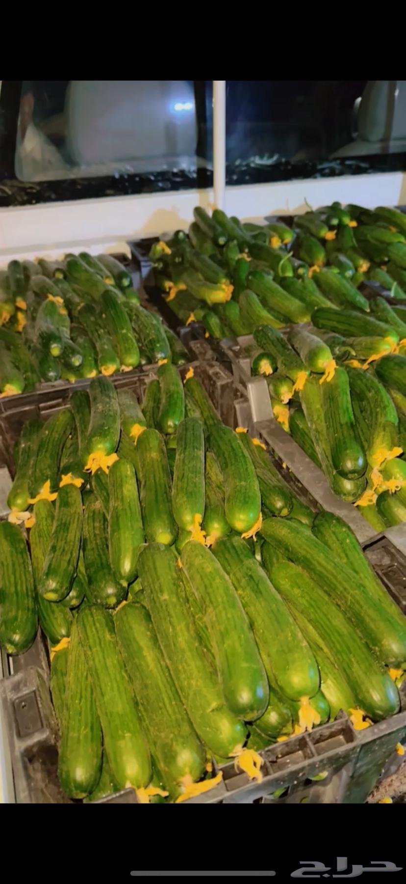 Fresh picking option from reserves64469181329283110