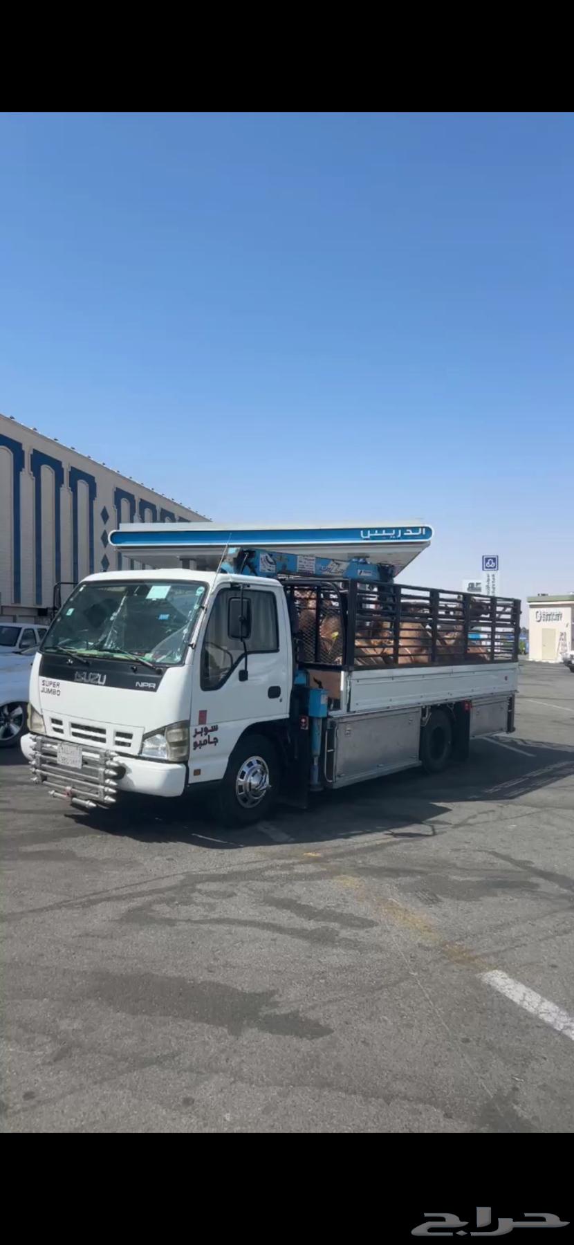 Livestock, camels, and equipment trips to all areas64145697438466110