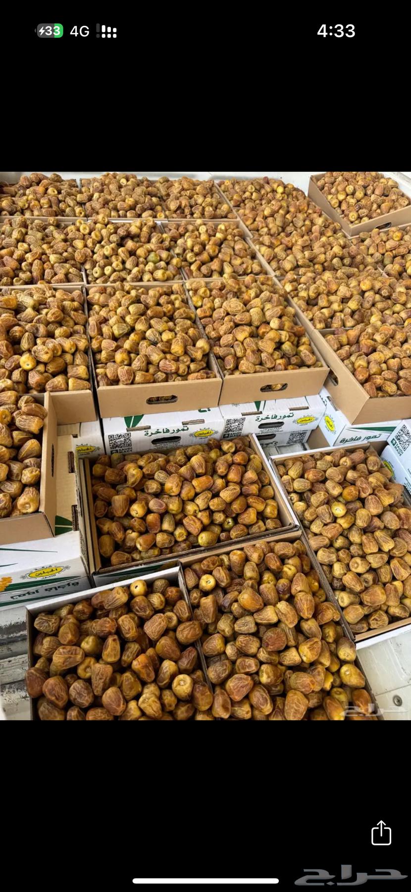 Sukkari Dates (Maftee) Production 144764468468280065110