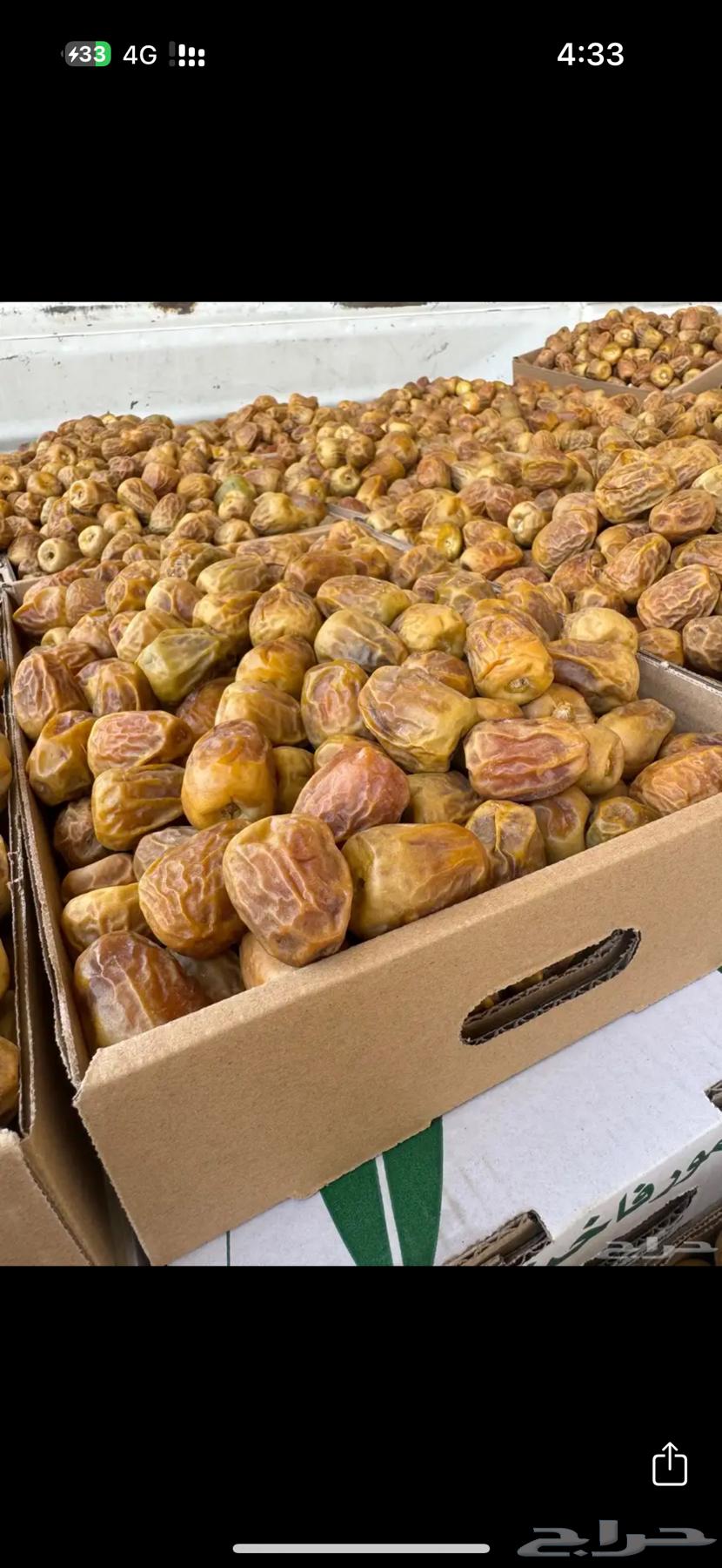 Sukkari Dates (Maftee) Production 144764468468280065112