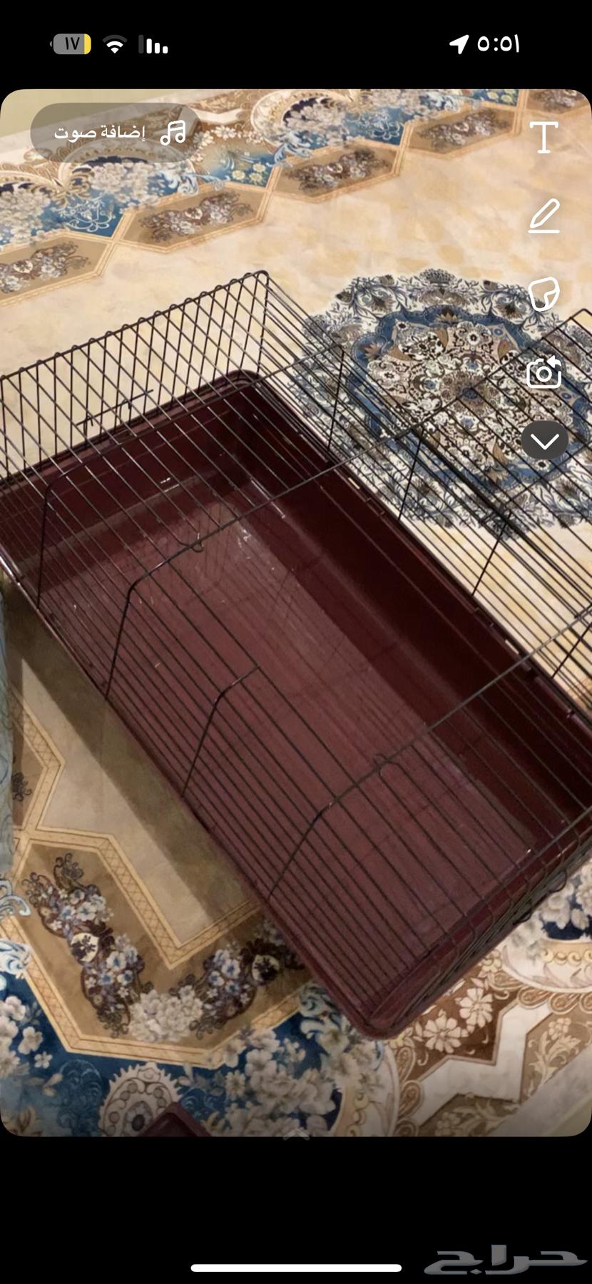 I'm showing a rabbit cage with duck, small cats, and wool64465493801347110