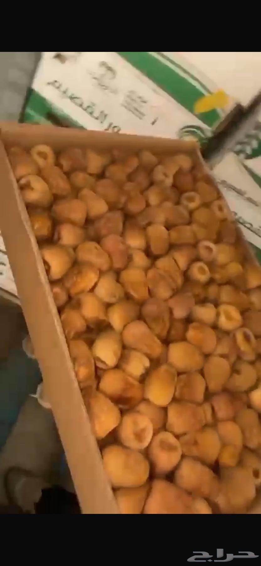 Tamr Sakkari64467158192899111