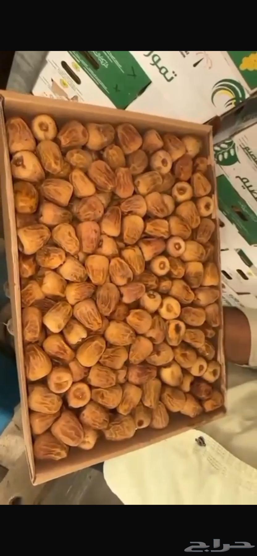 Tamr Sakkari64467158192899112