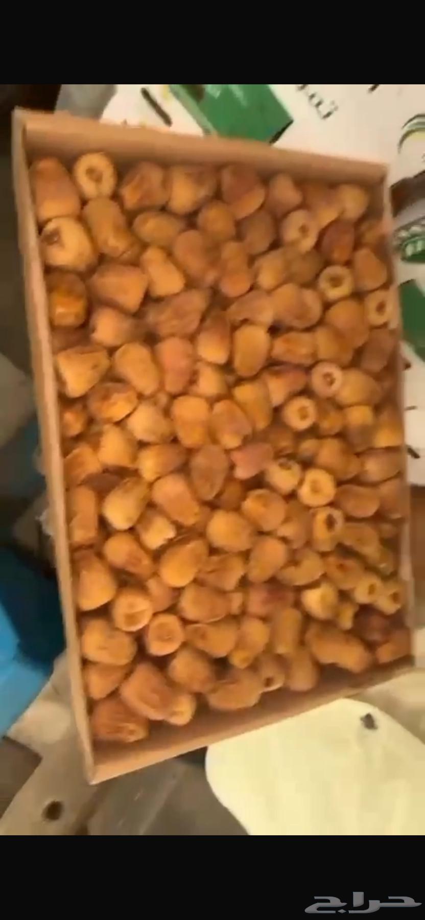 Tamr Sakkari64467158192899110