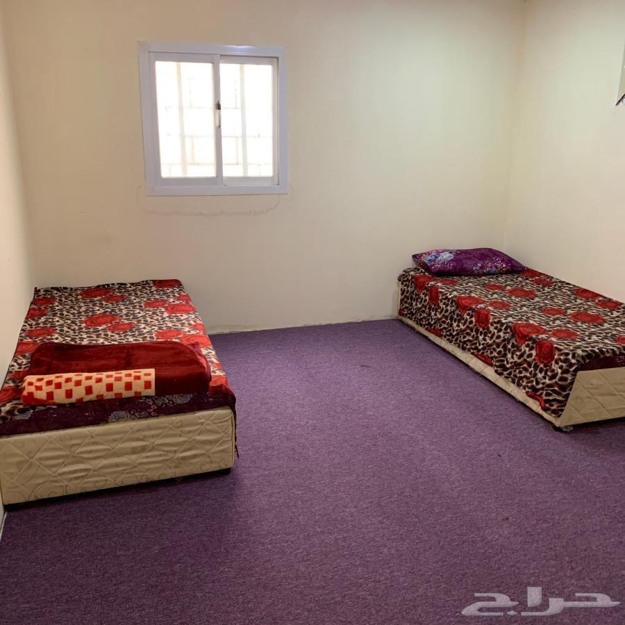 أبحث عن غرفه64142981065217110