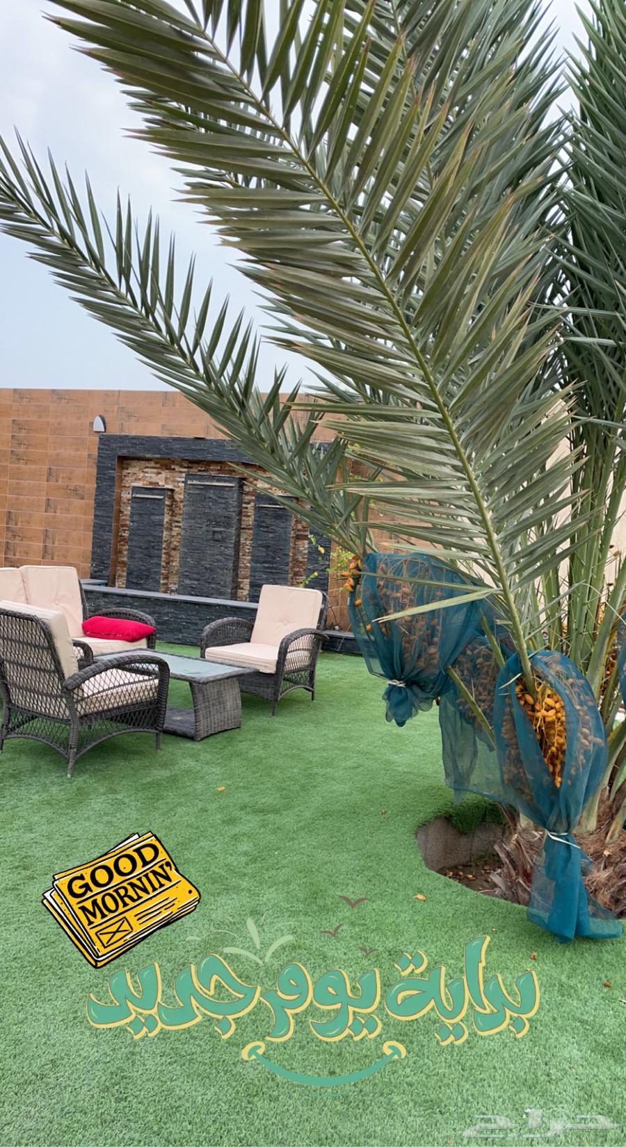 Eilaf Rest Area Offer 350 Sabuni Stadium64142982026627114