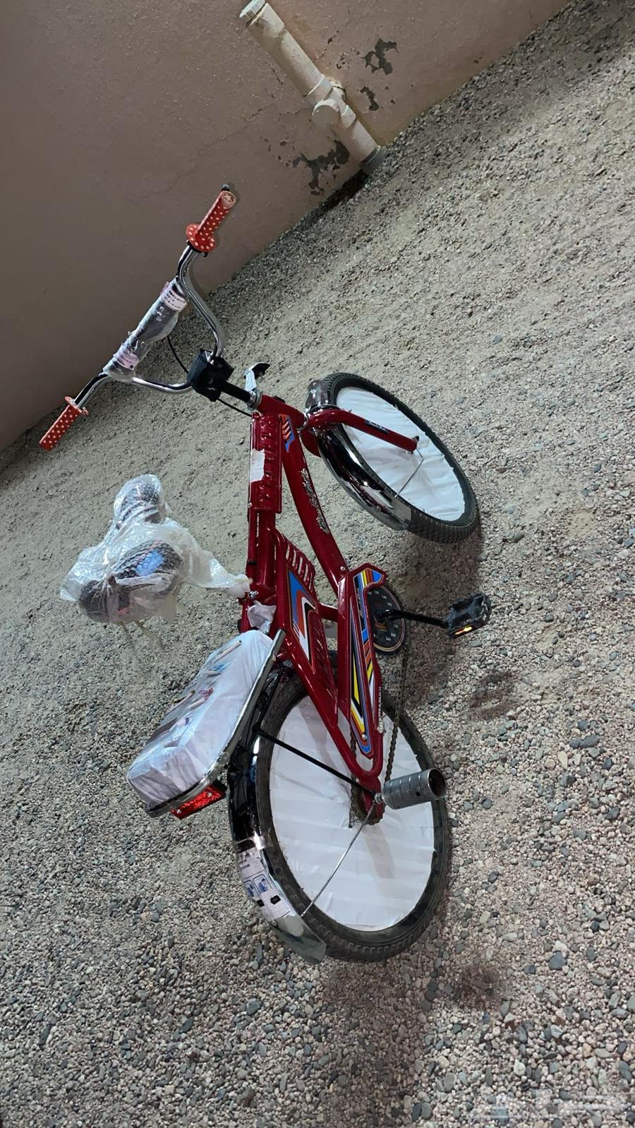 سيكل رامبو اندنوسي64478759729794110