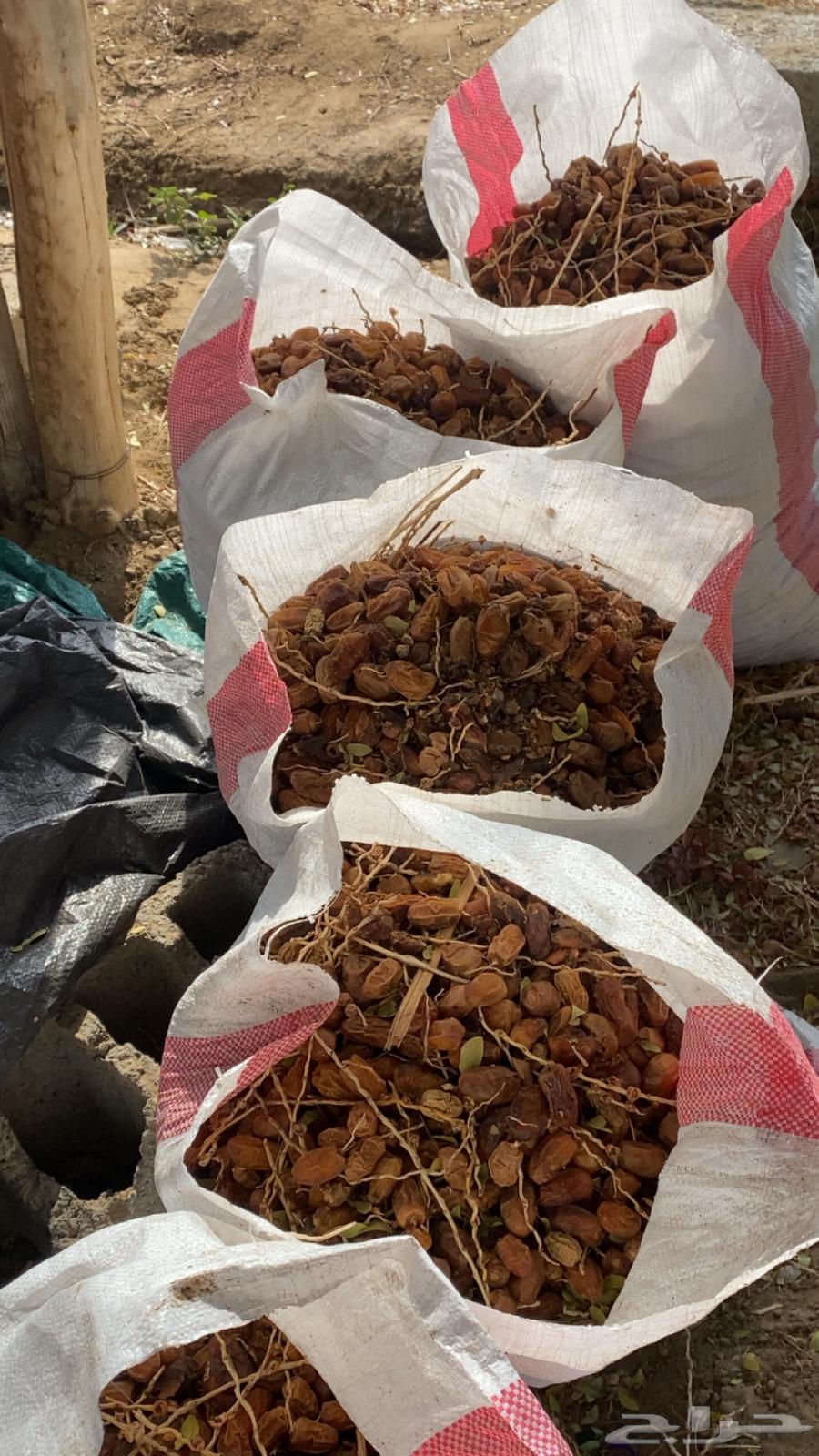 Dates for Halal64473401568515111