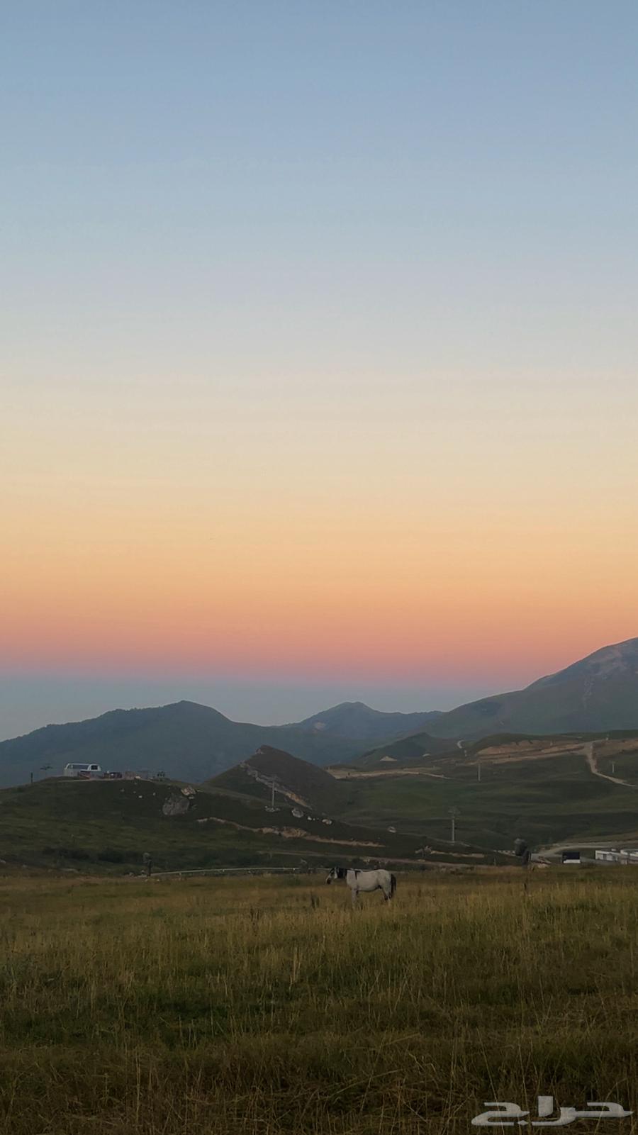 عسل مستورد من جبال وغابات طبيعي 10064476893778691113