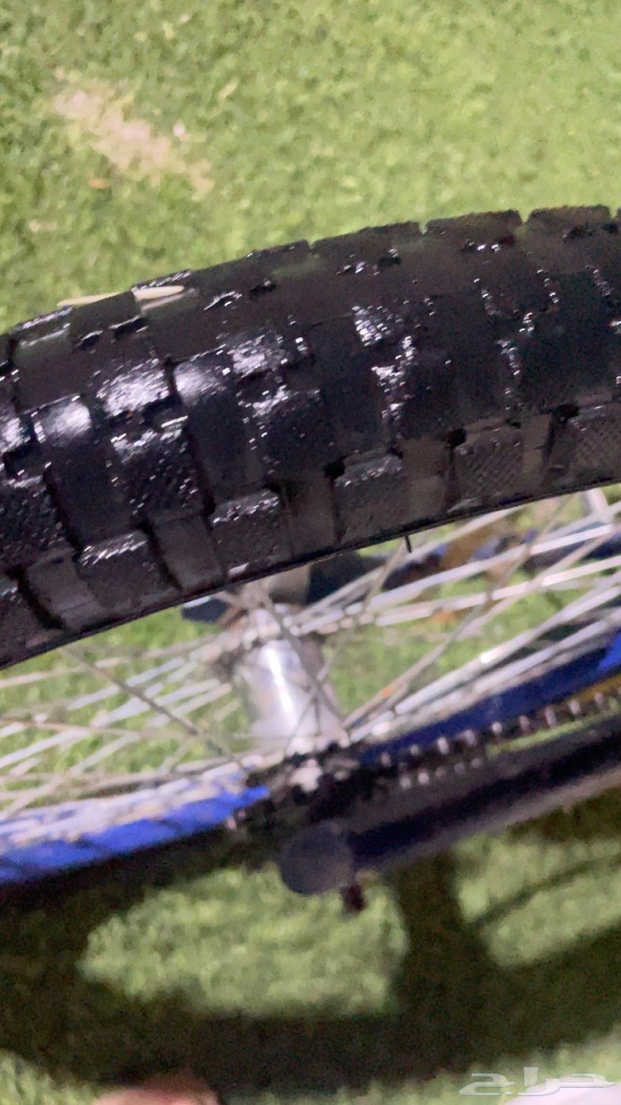 Nice Cobra Cycle64475253312259113