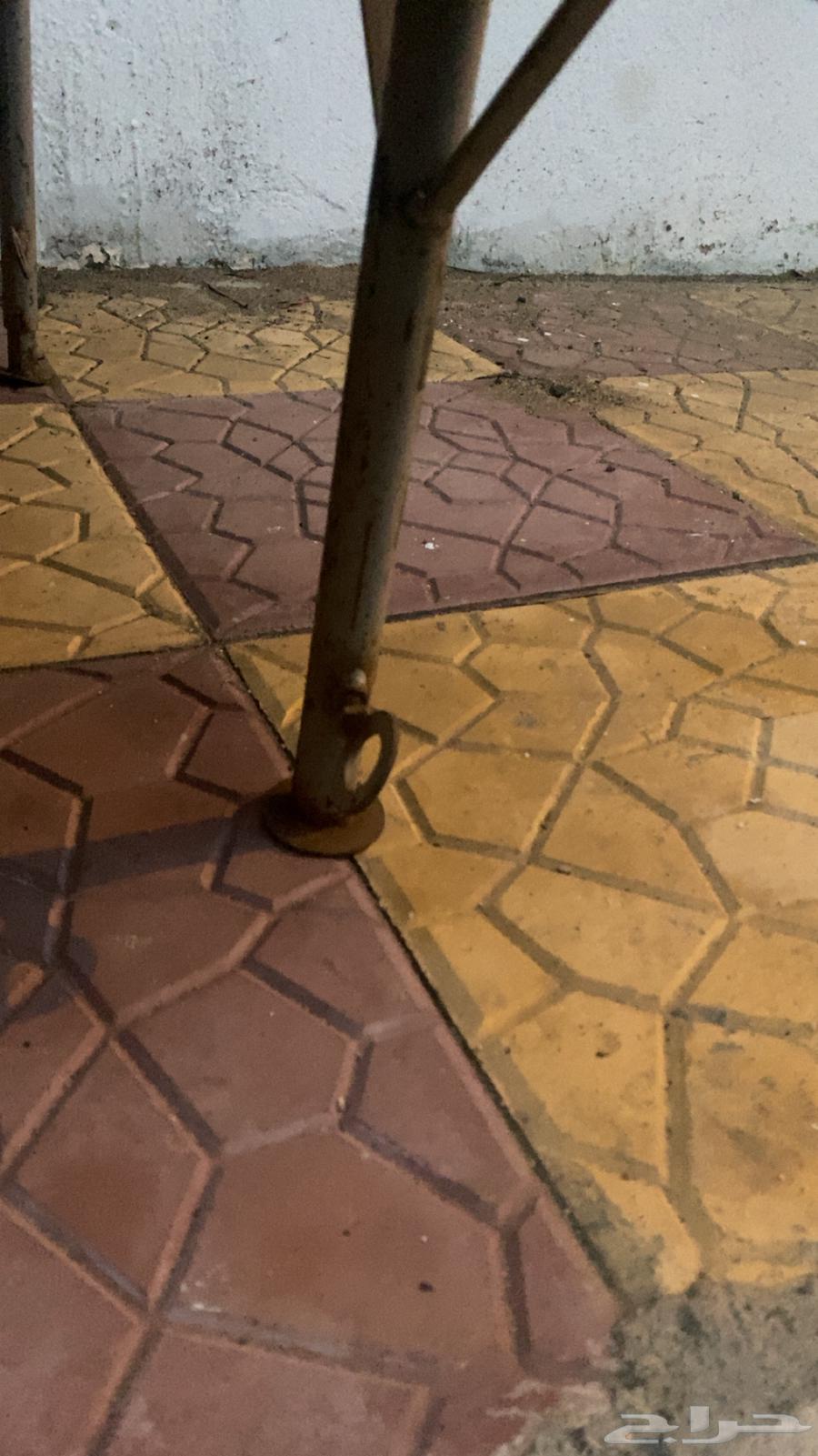 طبق شنطة سياره64652023055875111