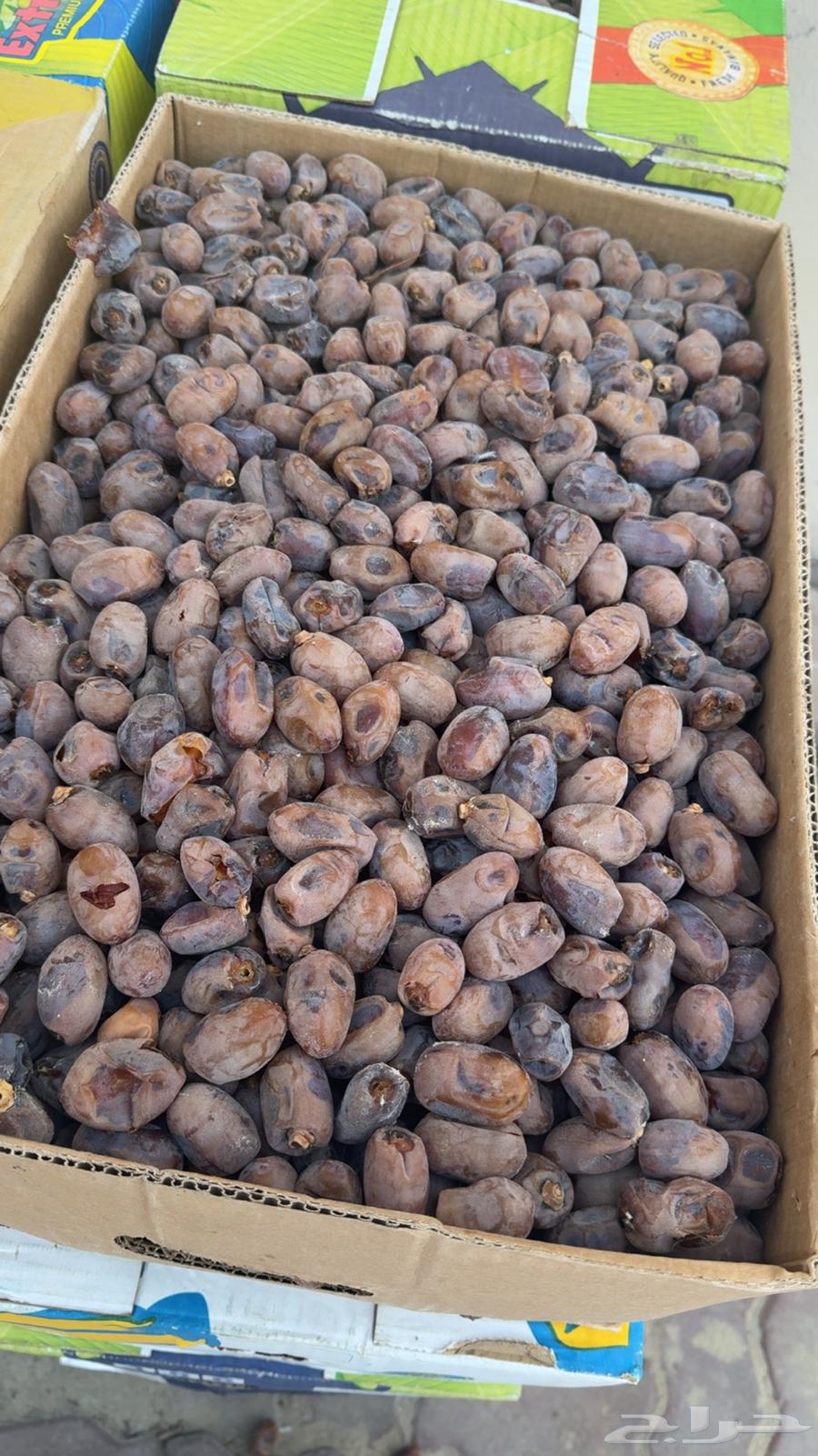 Dates for sale64476824651906111