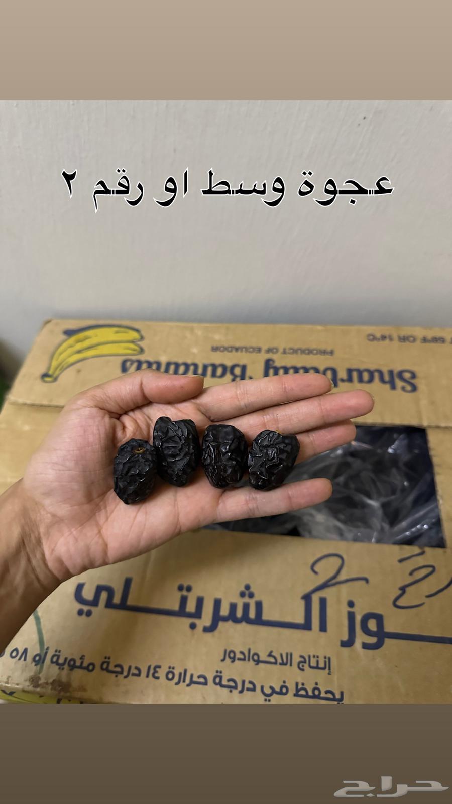 عجوة مبرومة جملة انتاج هذه السنة 1447 هجري64415370774787111