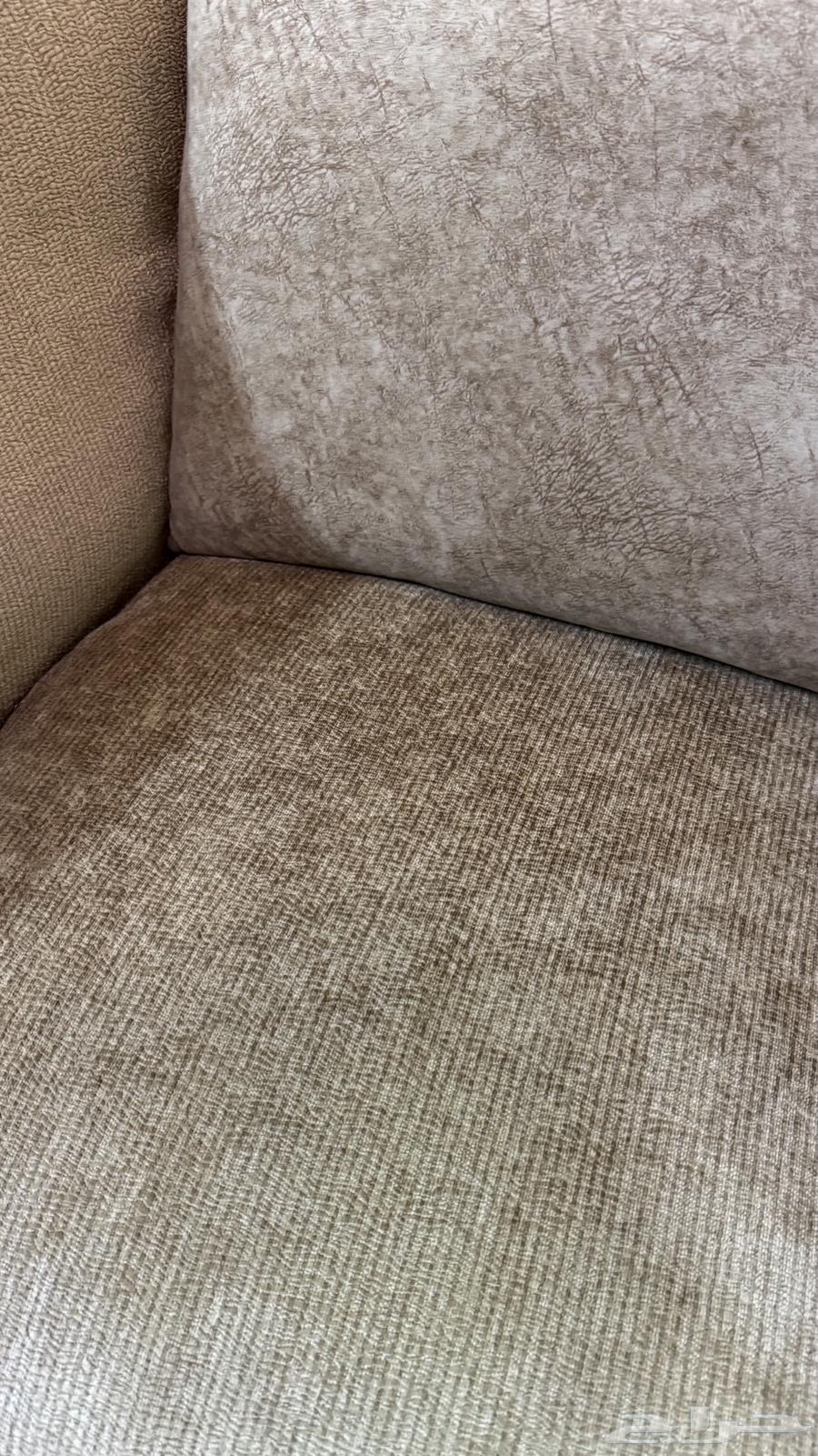 Single Sofa64476866294786113