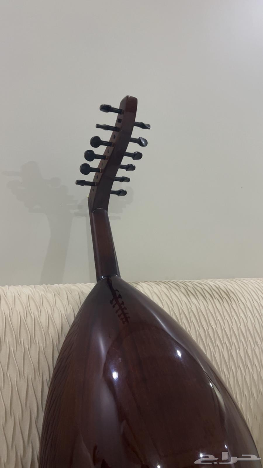 عود مصري جديد تفصيل عراقي64478594269185112