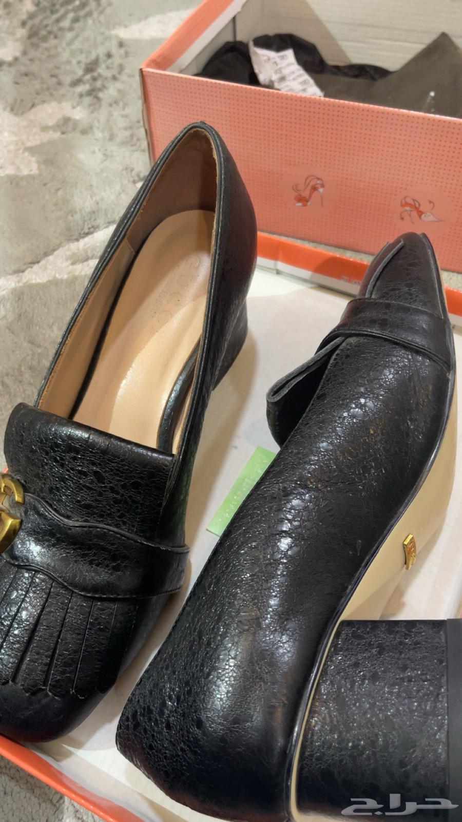 شنطة شانيل جزمة من قوتشي64475088083586110