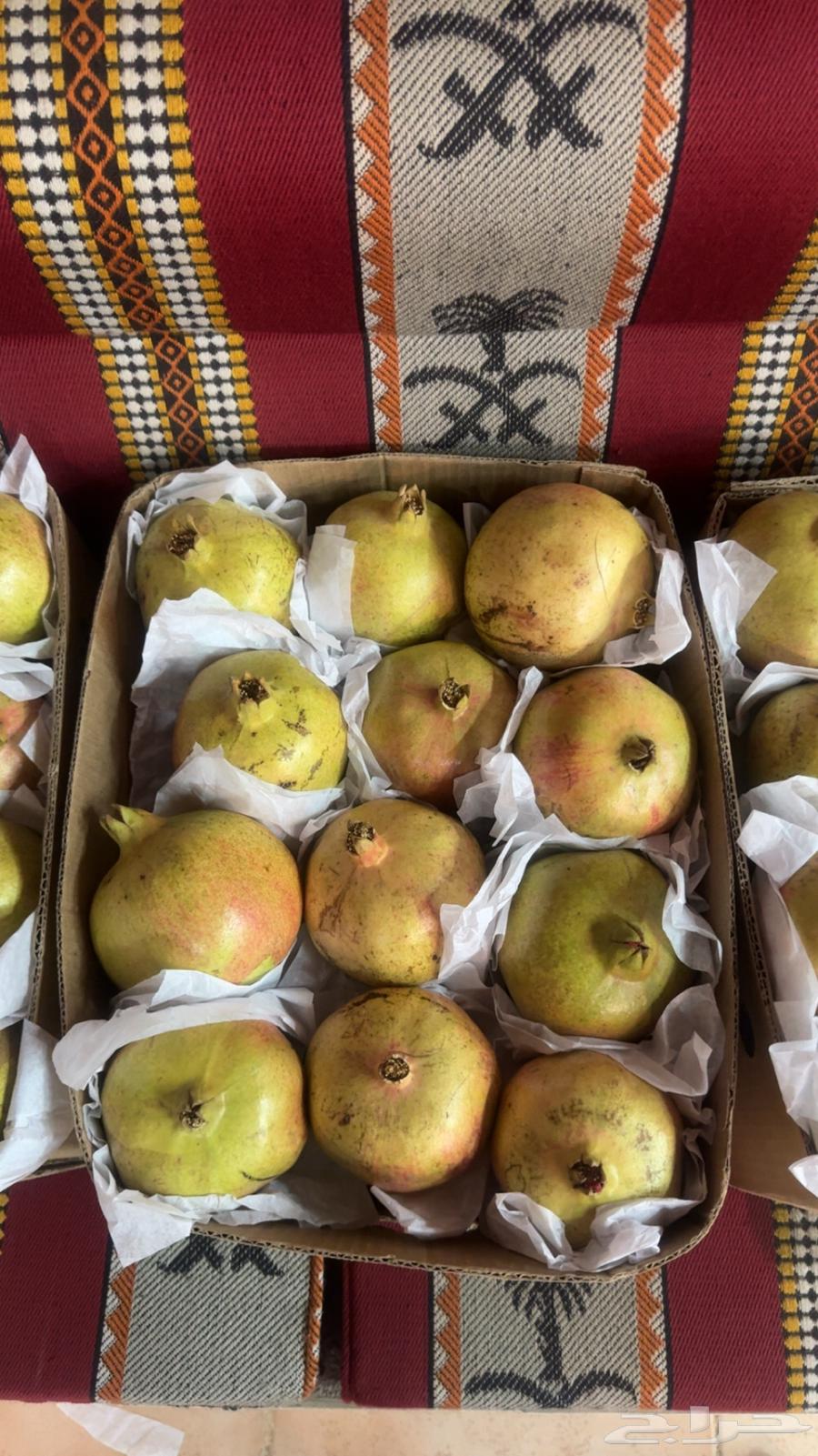 رمان جوف ال معمر64475266953985112