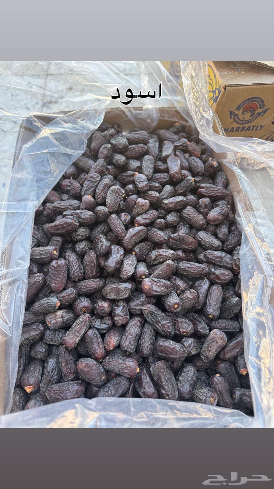 صفاوي للبيع جملة انتاج هذه السنة 1447 هجري64472352643585113