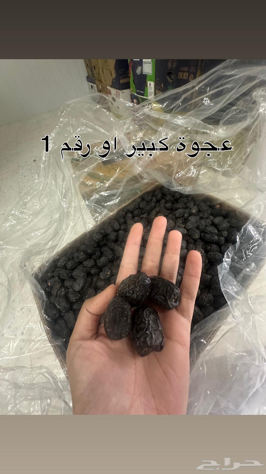 عجوة مبرومة جملة انتاج هذه السنة 1447 هجري64415370774787112