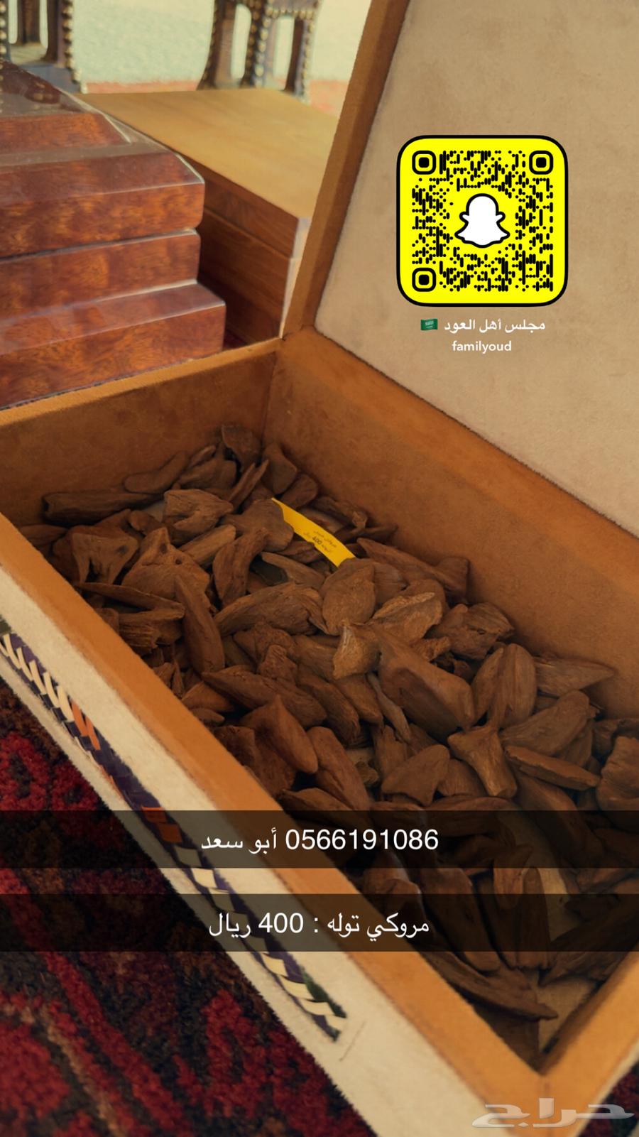 عود مروكي ميني   التوله 400 ريال64472899210243110