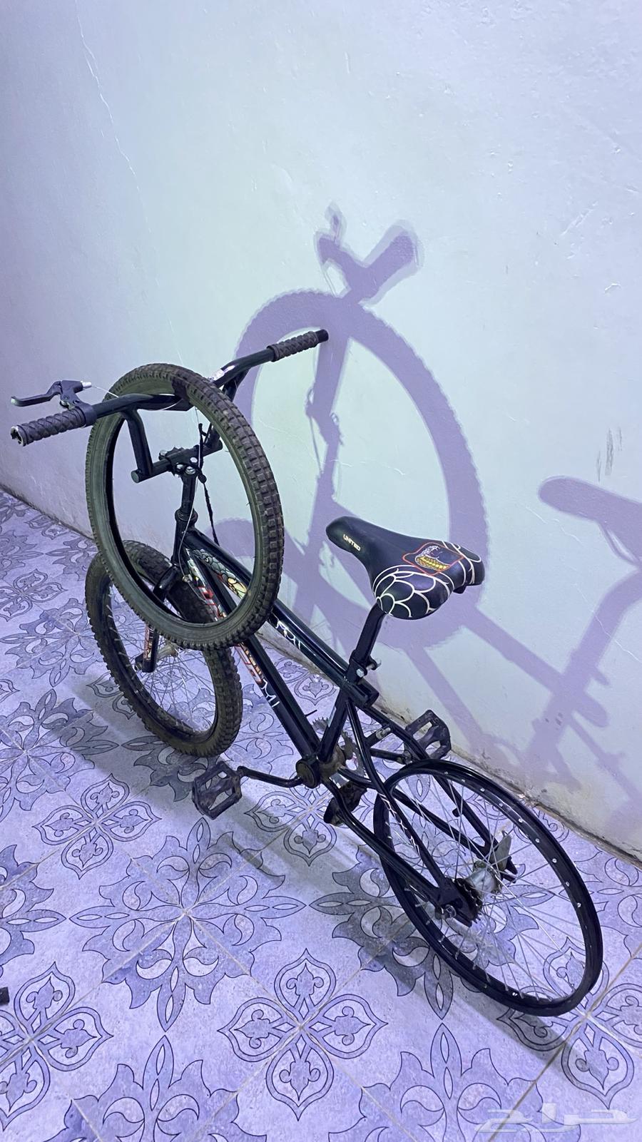 Cycle 2064475556836226110