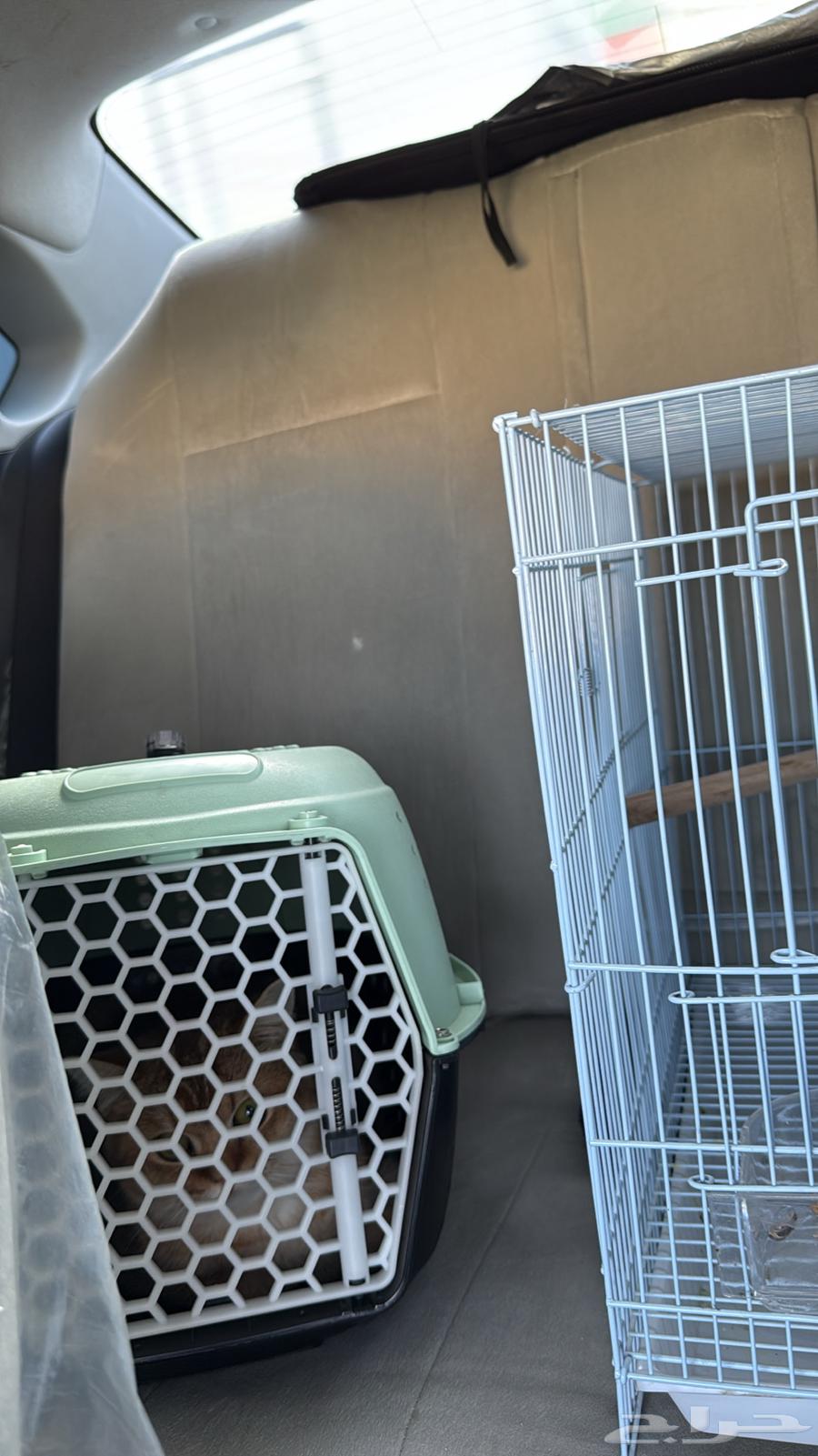 Pet delivery agent from the south to Jeddah64146512461441112