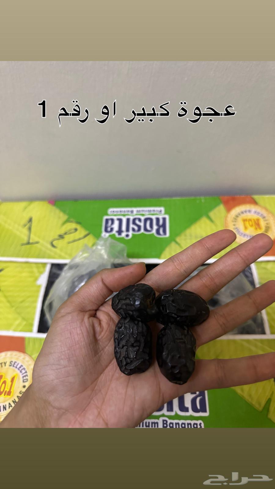 عجوة مبرومة جملة انتاج هذه السنة 1447 هجري64415370774787110