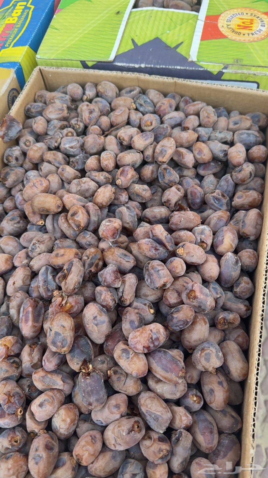 Dates for sale64476824651906110